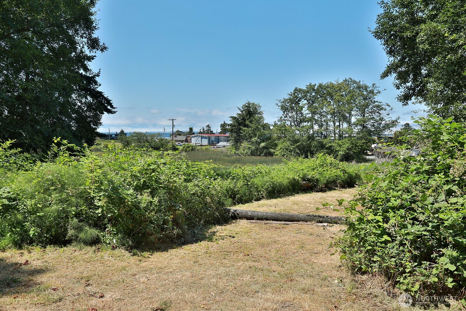 3776  Shorewood Avenue  Greenbank WA 98253 photo