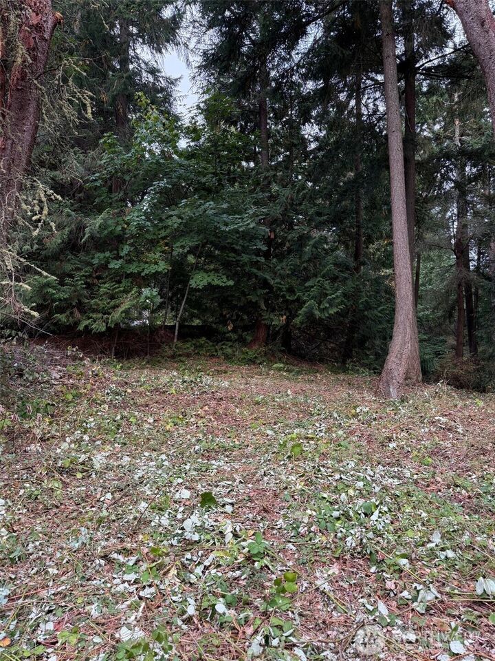 Property Photo: 0 Nhn Hummingbird Lane WA 98221