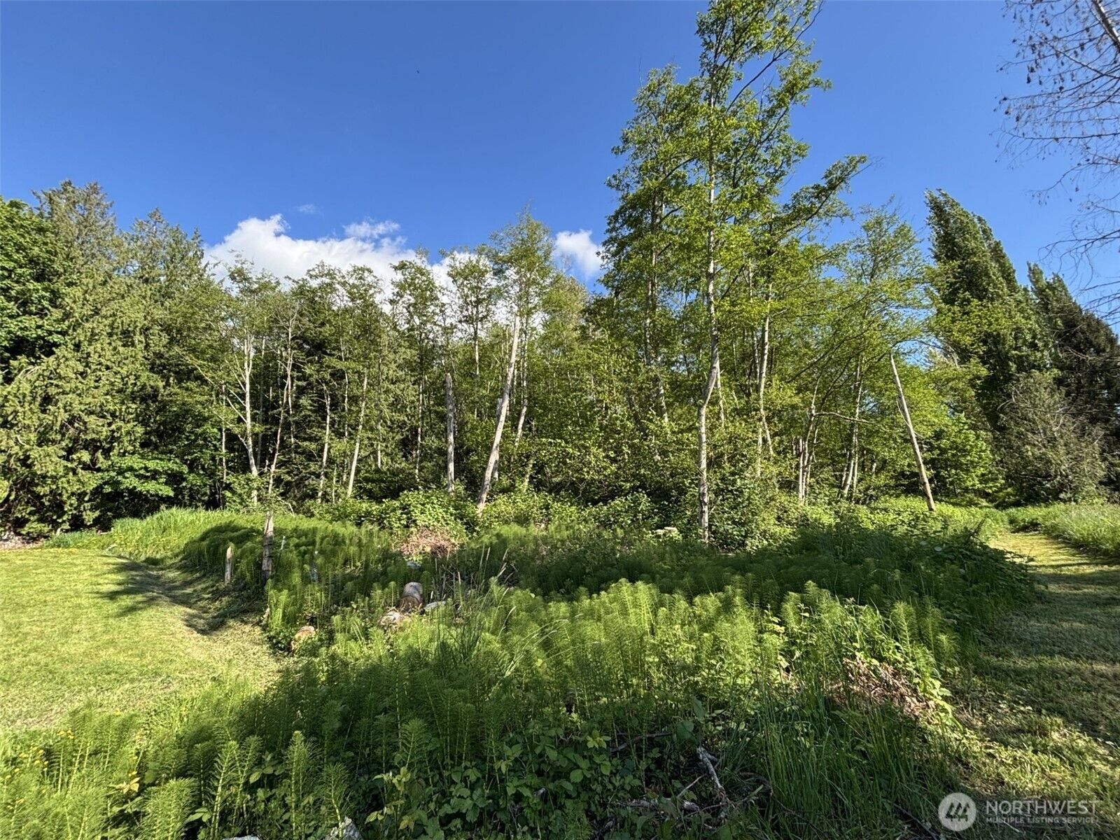 Property Photo: 0 Anderson Road WA 98274