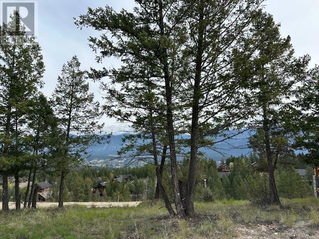 Property Photo:  Lot 24 Ledgerock Ridge  BC V0A 1K6 