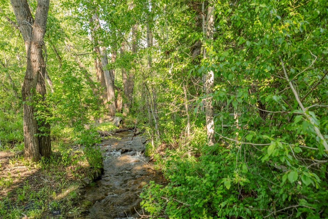 Property Photo: 185 Elk Creek Road N MT 59086