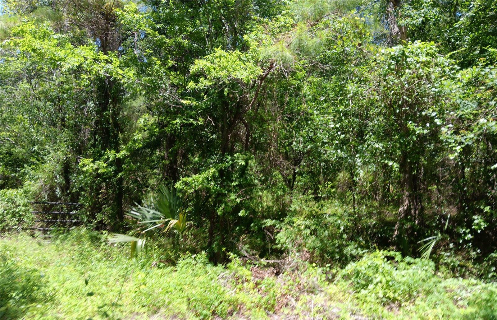 Property Photo: 0 NW 82 Court FL 34482