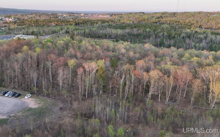 Property Photo:  Tbd Off Cedar Street  MI 49931