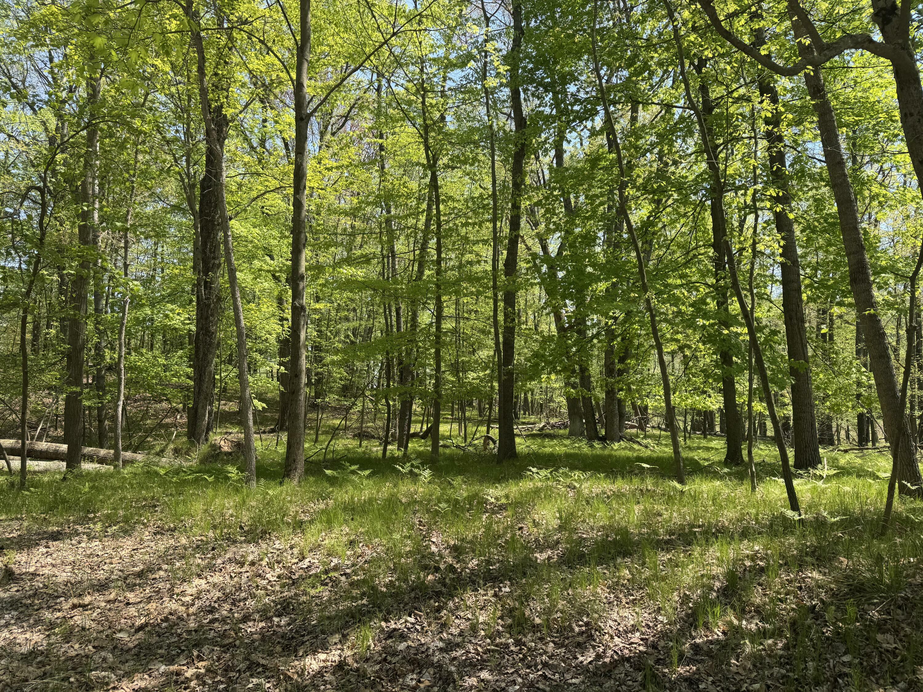 Property Photo: 9236 Lost Canyon Court MI 49346