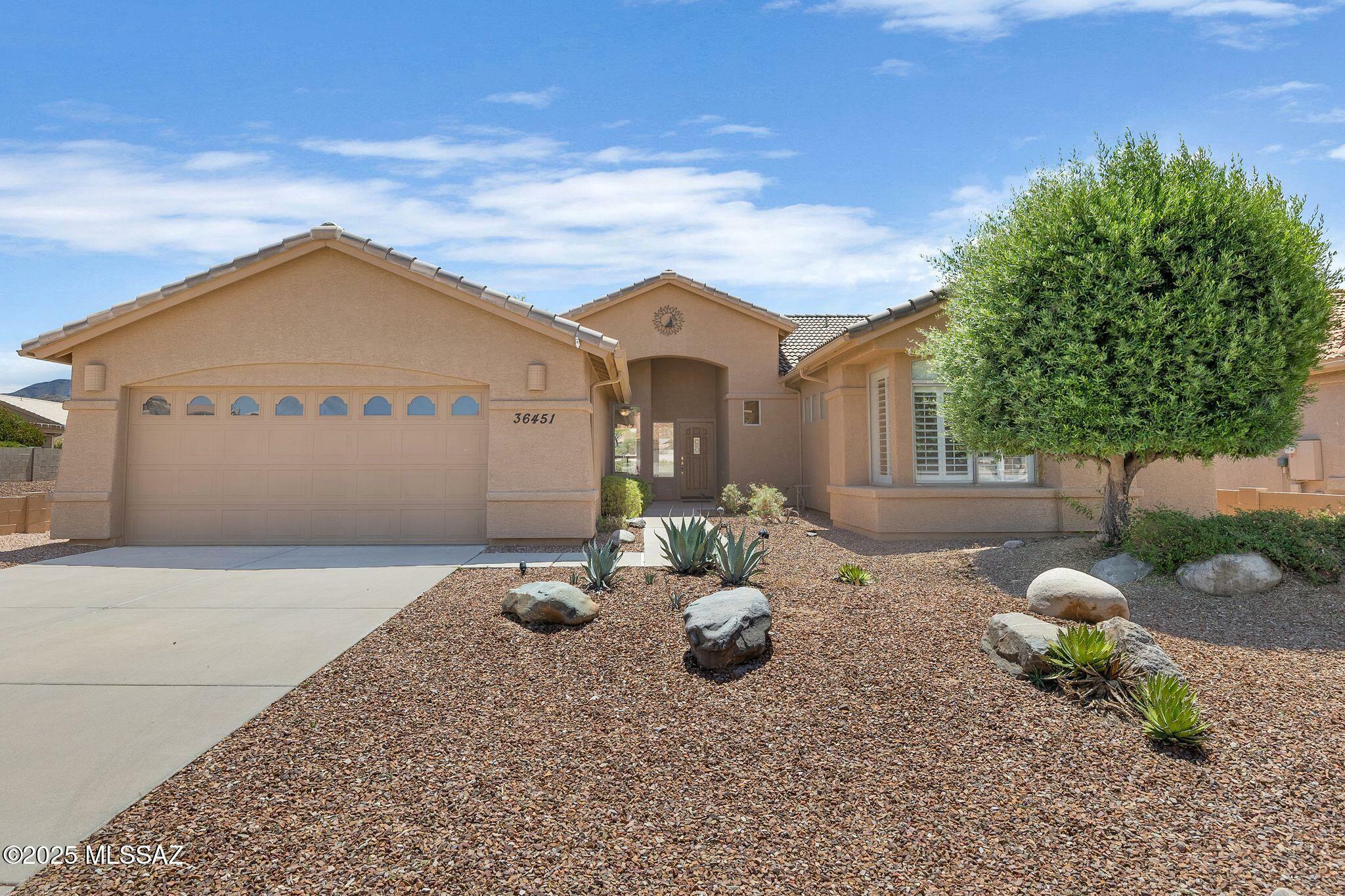 Property Photo:  36451 S Stoney Flower Drive  AZ 85739 
