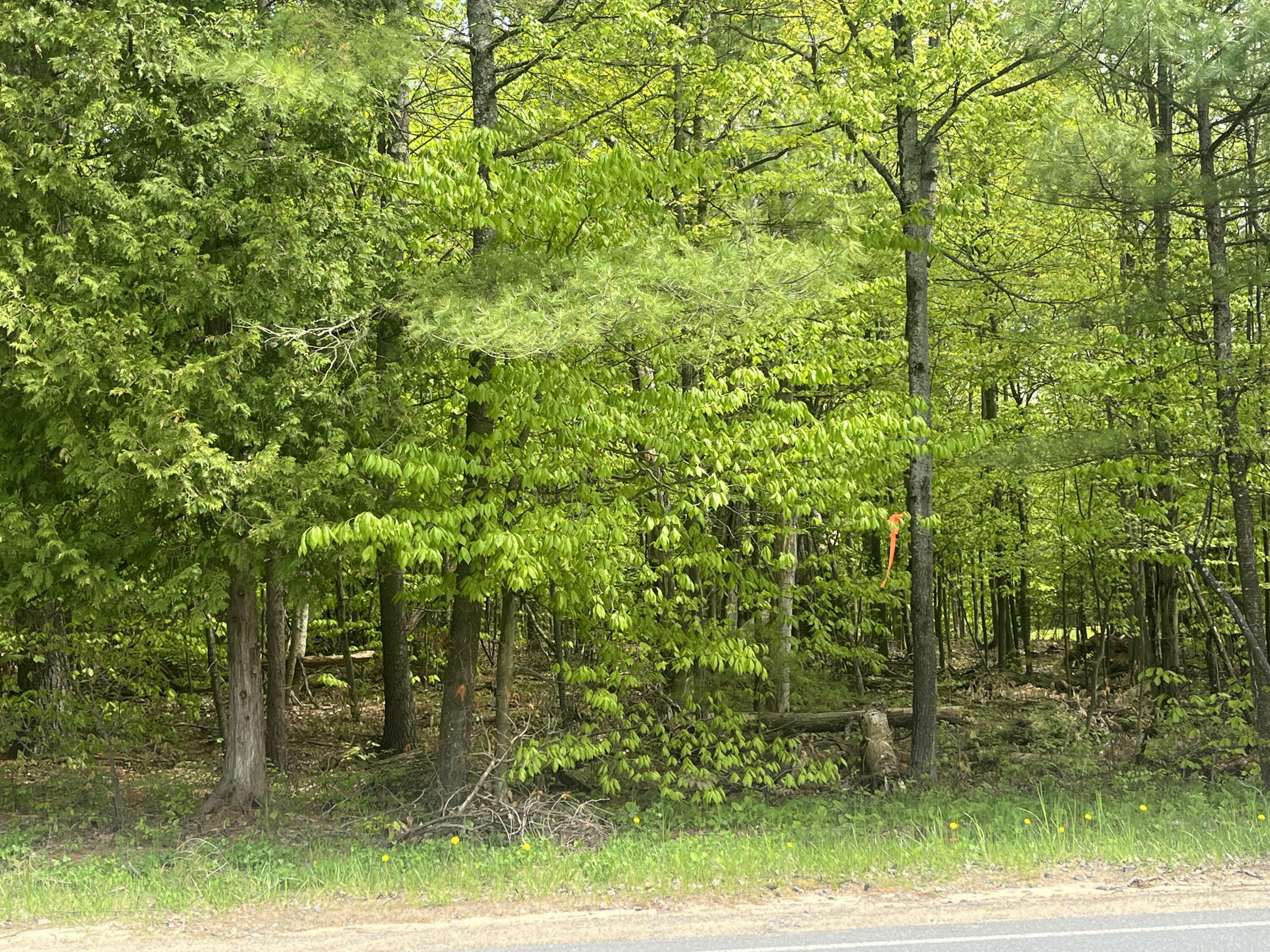 Property Photo:  00 Trudeau Road  NY 12918 