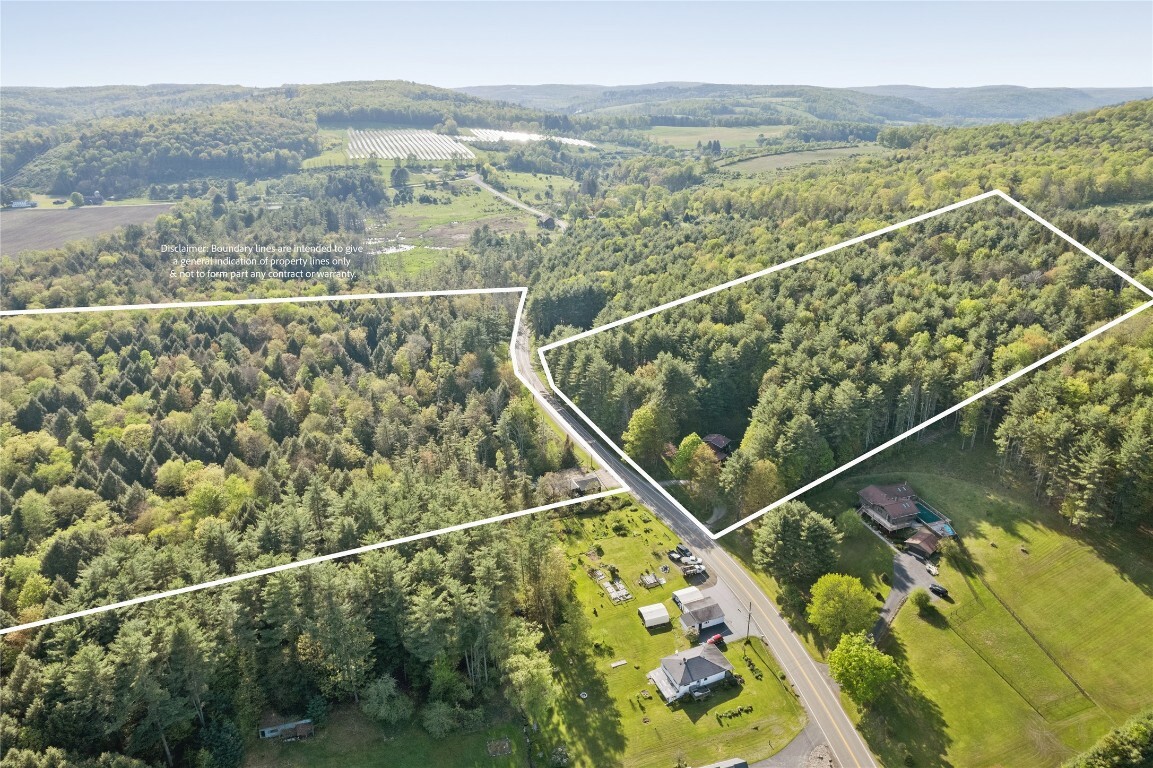 Property Photo: 1324 Halsey Valley Road NY 13734