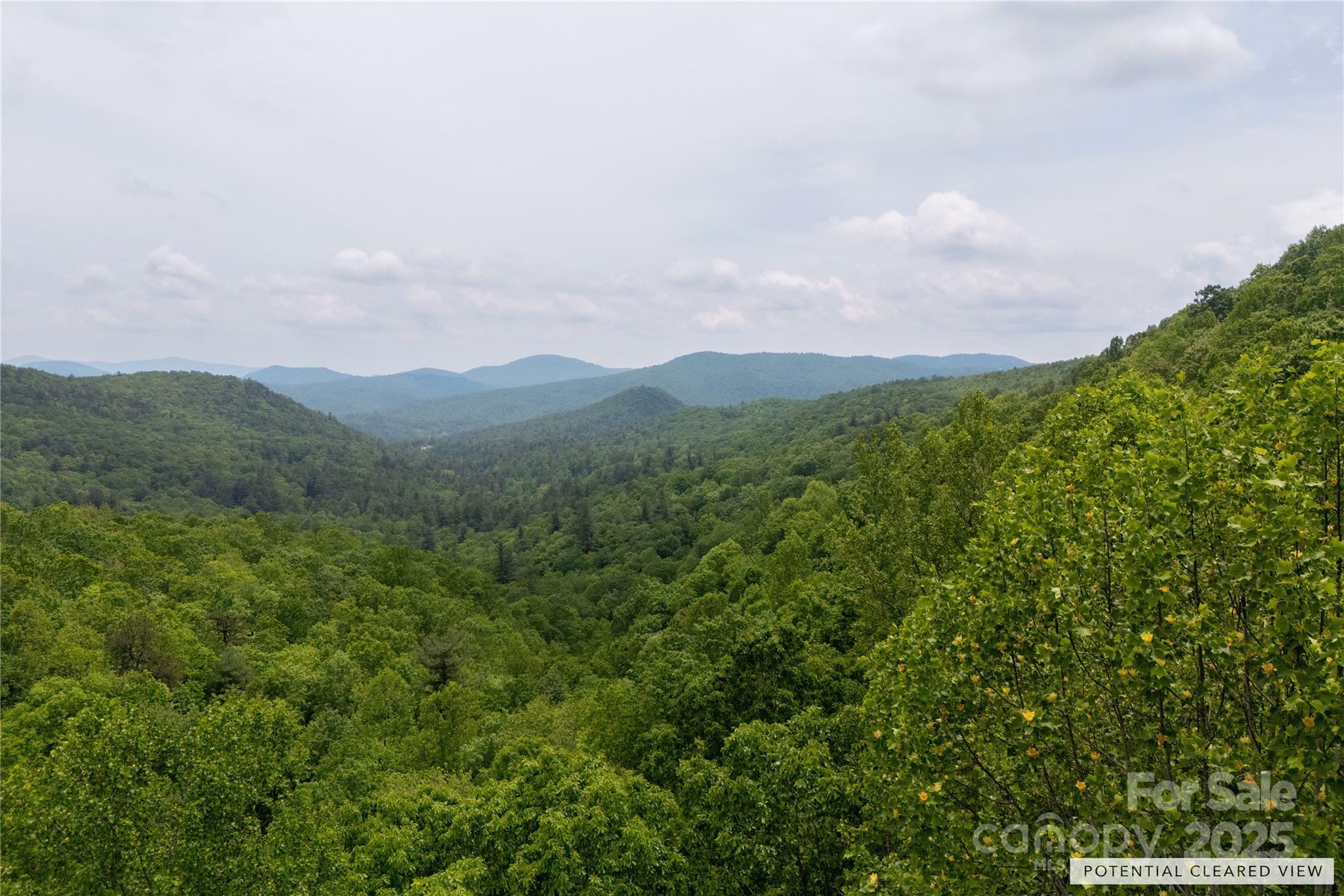 Property Photo:  000 Boone Top None  NC 28790 