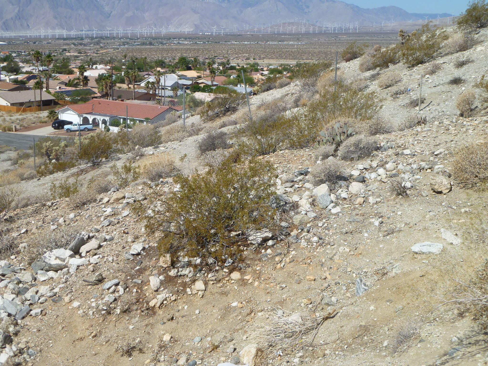 Property Photo: 0 Calle De Vecinos CA 92240