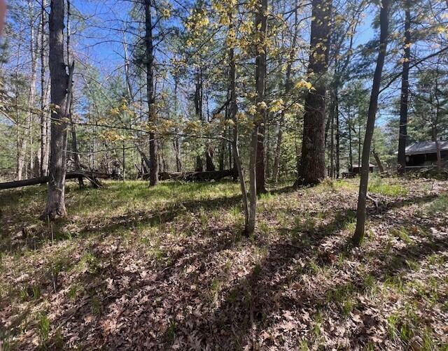 Property Photo: V/L W Glendale Avenue MI 49304