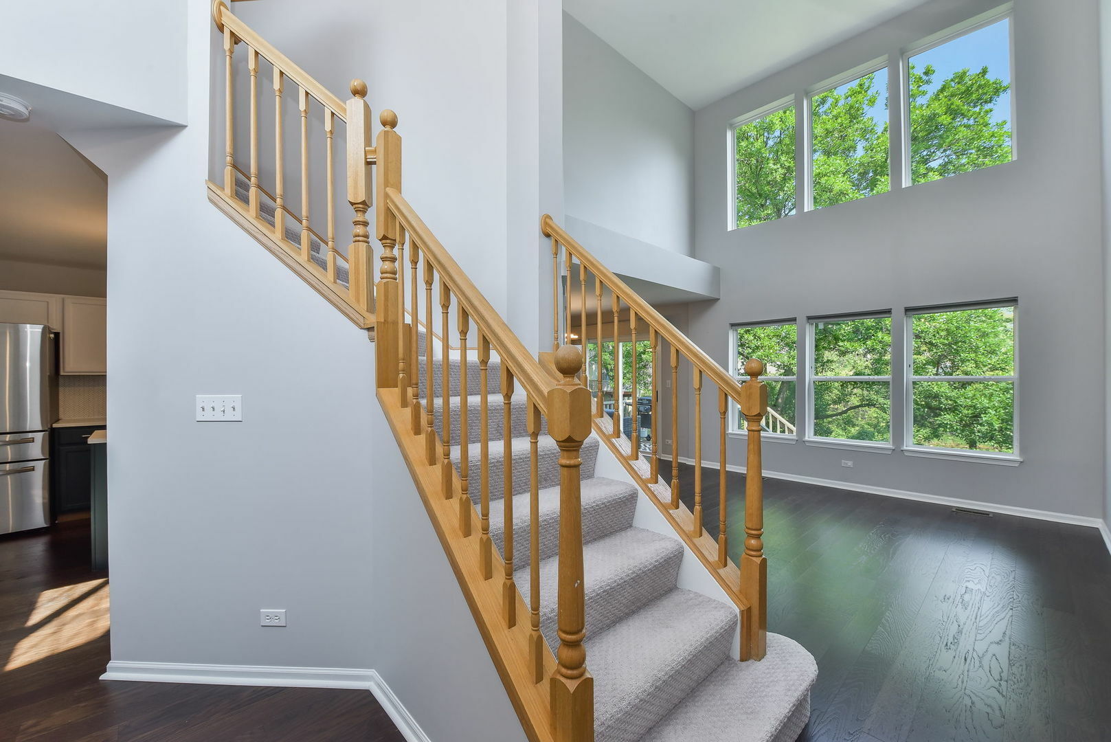 Property Photo: 858 McKenzie Station Drive IL 60532