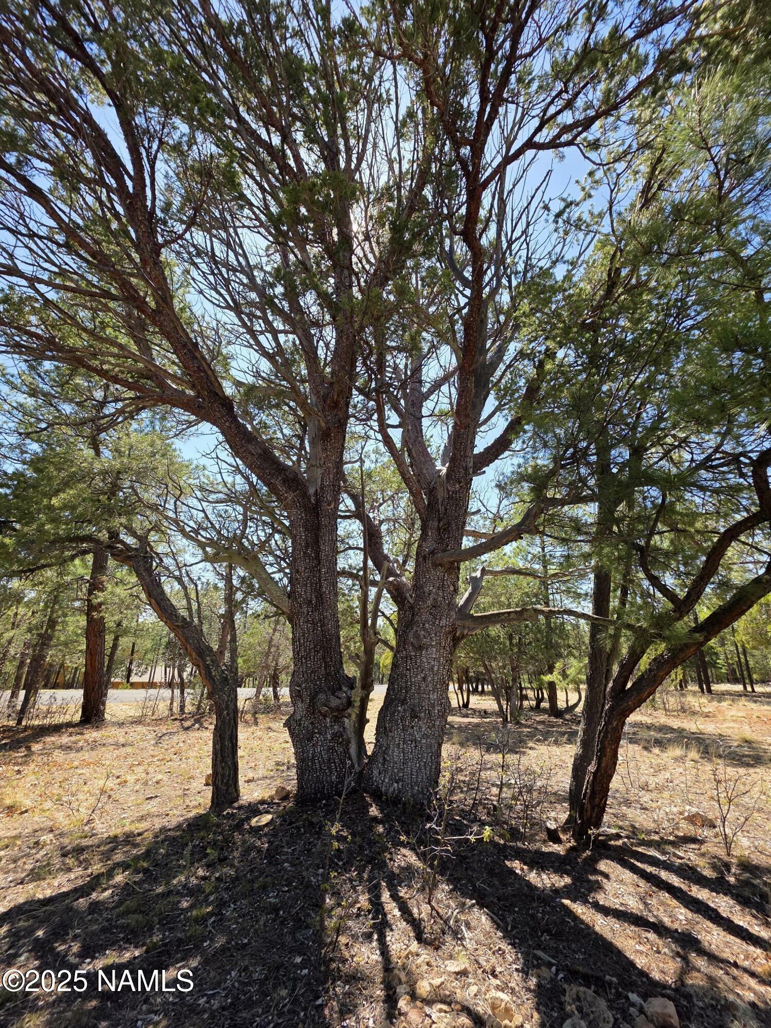 Property Photo:  3286 Roundup Lane  AZ 86024 