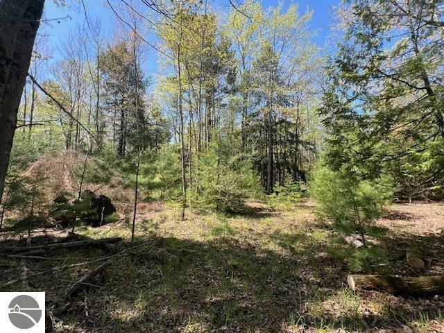 Property Photo: 000 Flees Road MI 49670