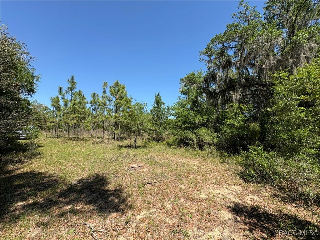 Property Photo: 0 Pittsburgh Road FL 33825