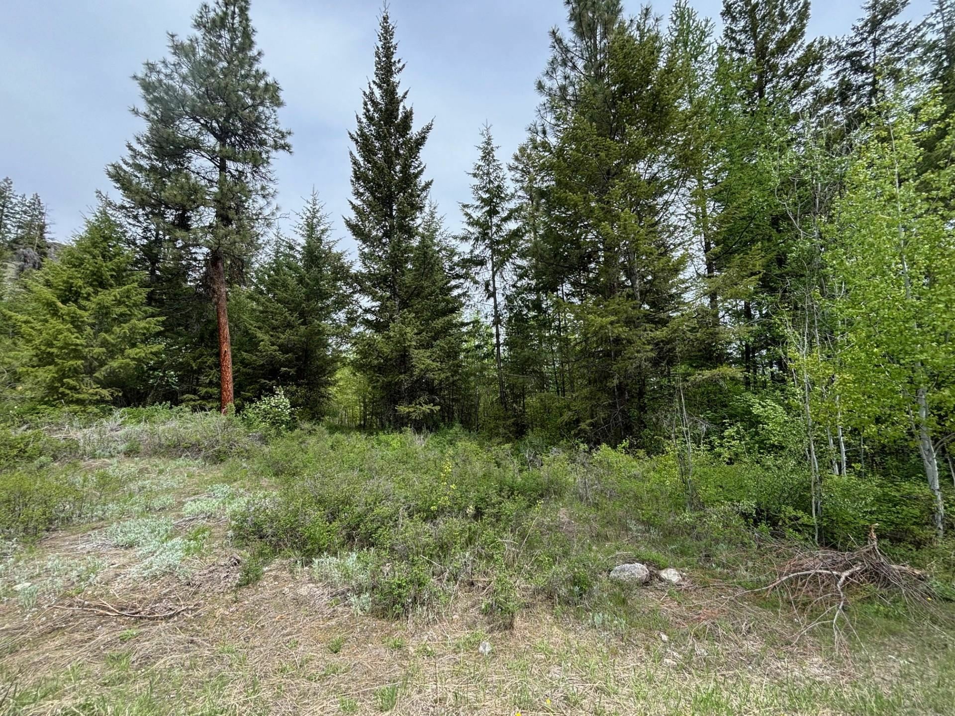 1xx Rocky Canyon Rd 3629220014  Other WA 98855 photo