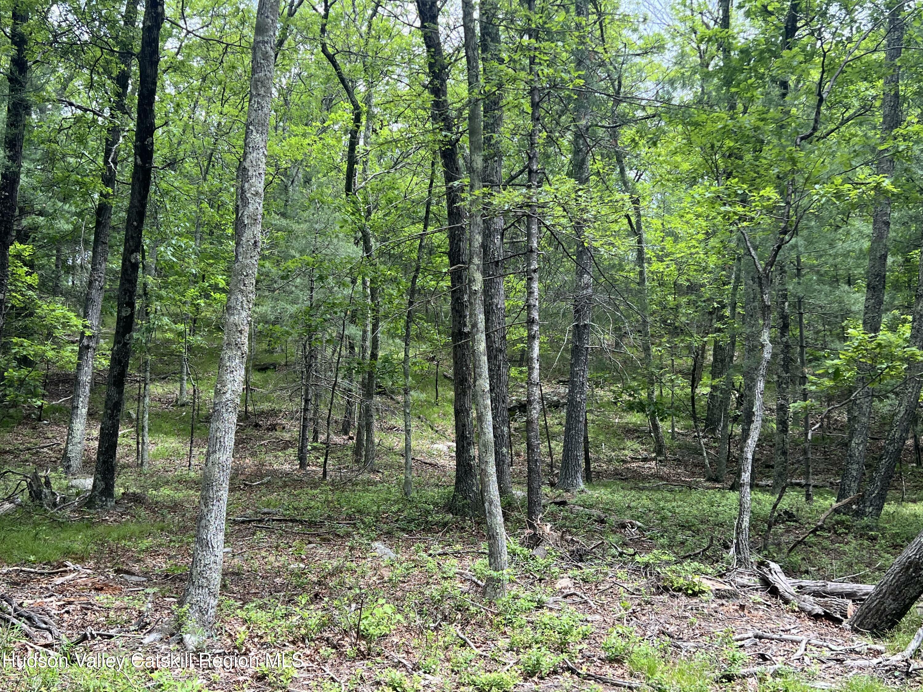 Property Photo: Tbd Ny-28A NY 12491