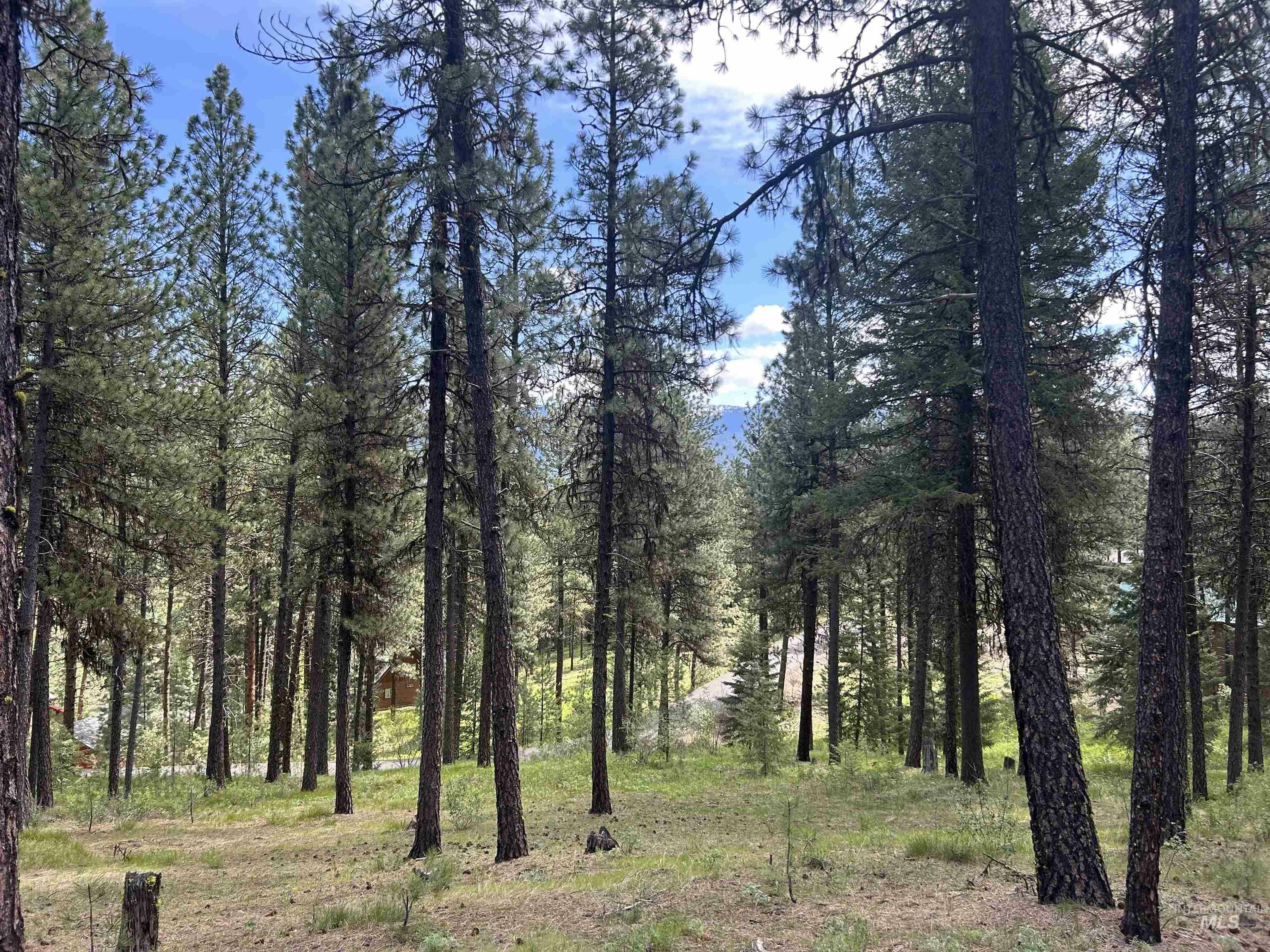 Syringa Drive  New Meadows ID 83654 photo