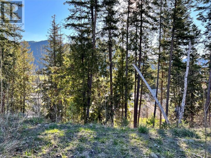 Property Photo:  2541 Cedar Ridge Court  BC V0E 2G0 