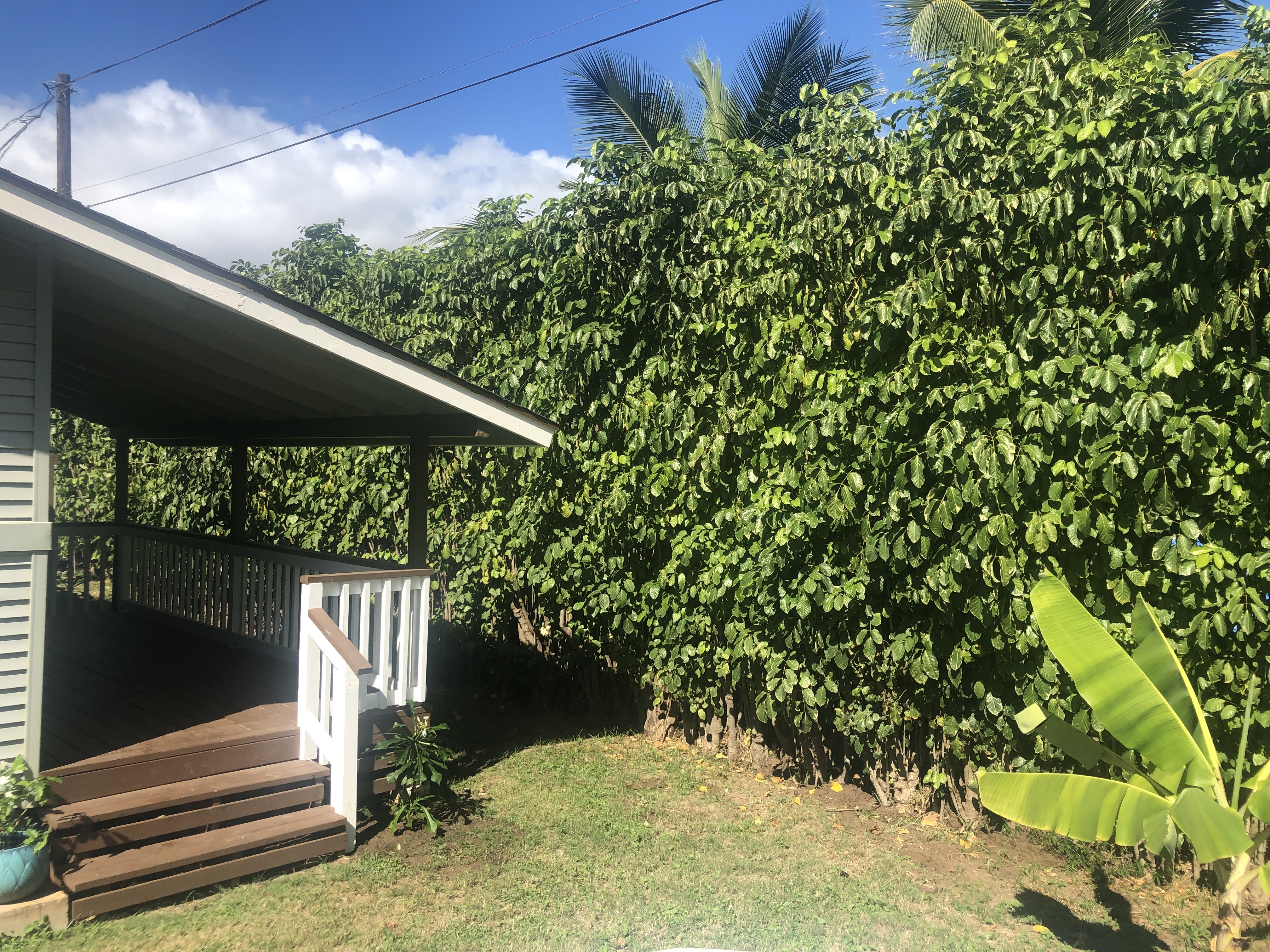 Property Photo: 4521-A Nene Rd 2 HI 96752