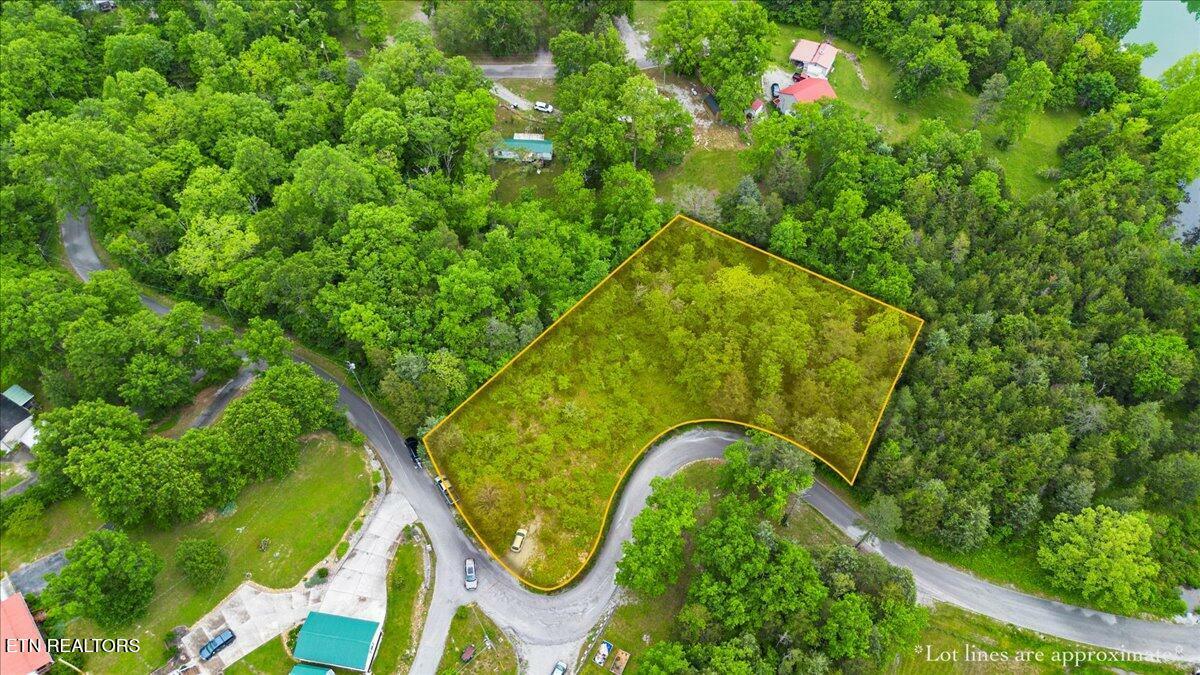 Property Photo: 366 Shawnee Drive TN 37757