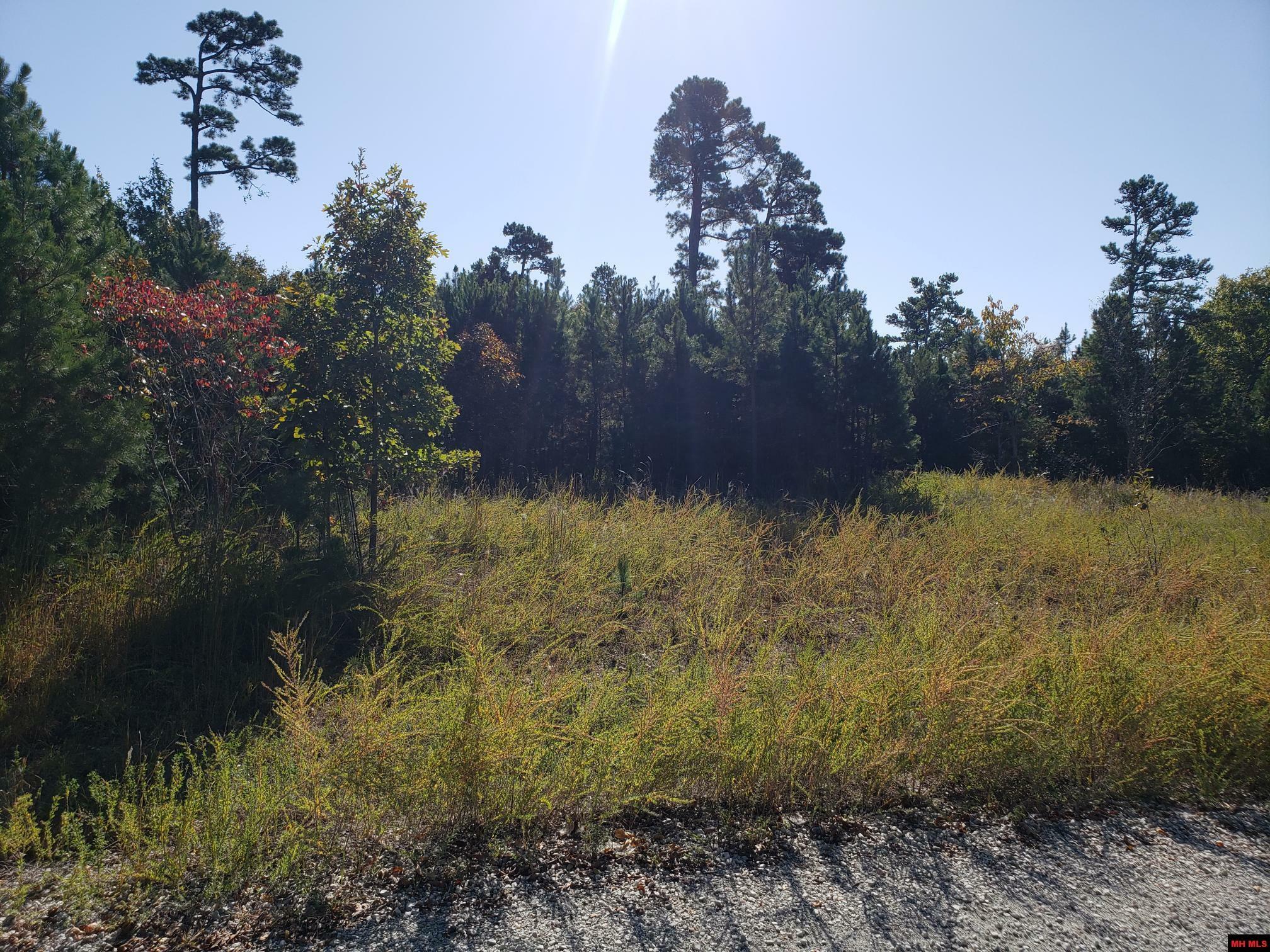 Property Photo: 1008 Mc 2084 AR 72668
