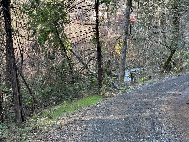 Property Photo:  0 NE Treasure Rock Lane  CA 95667 