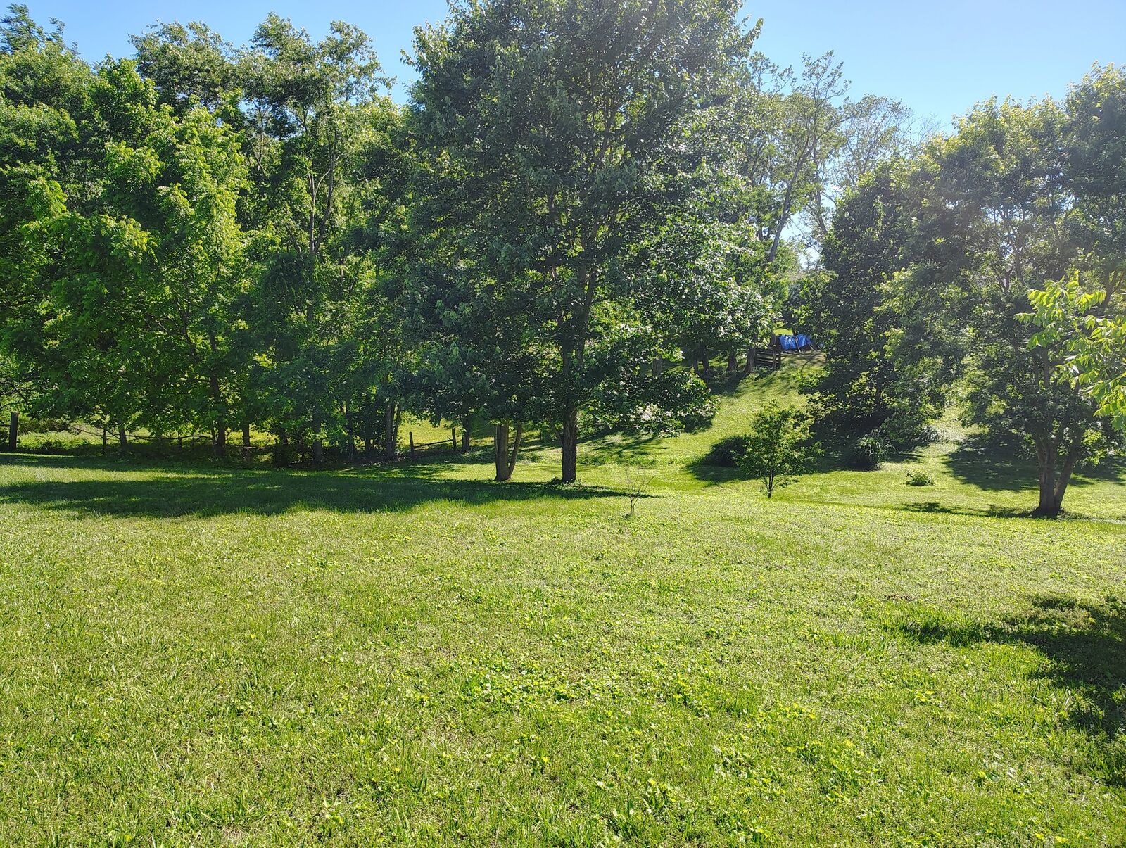 Property Photo: 0 Short Street TN 37083