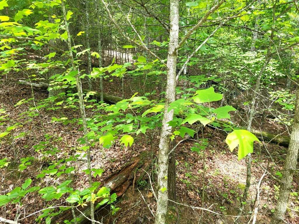 Property Photo: Lot 9 Folklore Court GA 30560