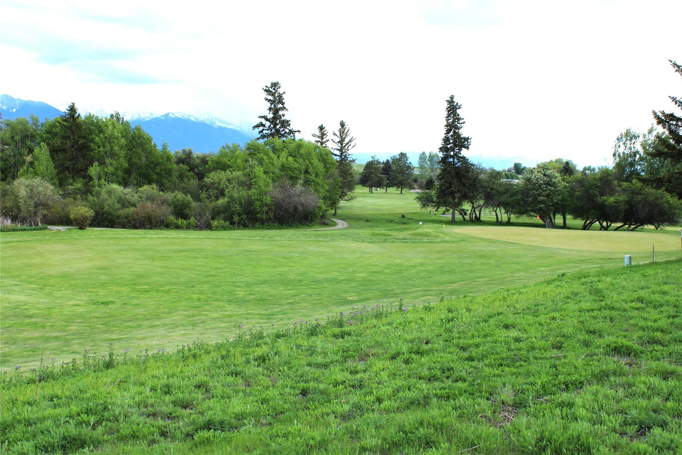 Property Photo: Nhn Stage Coach Trail MT 59864