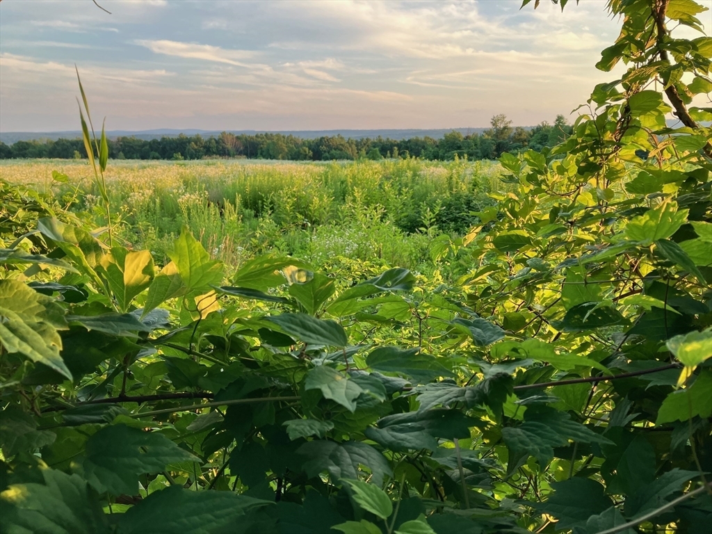 Property Photo: 186 Justice Hill Rd MA 01564