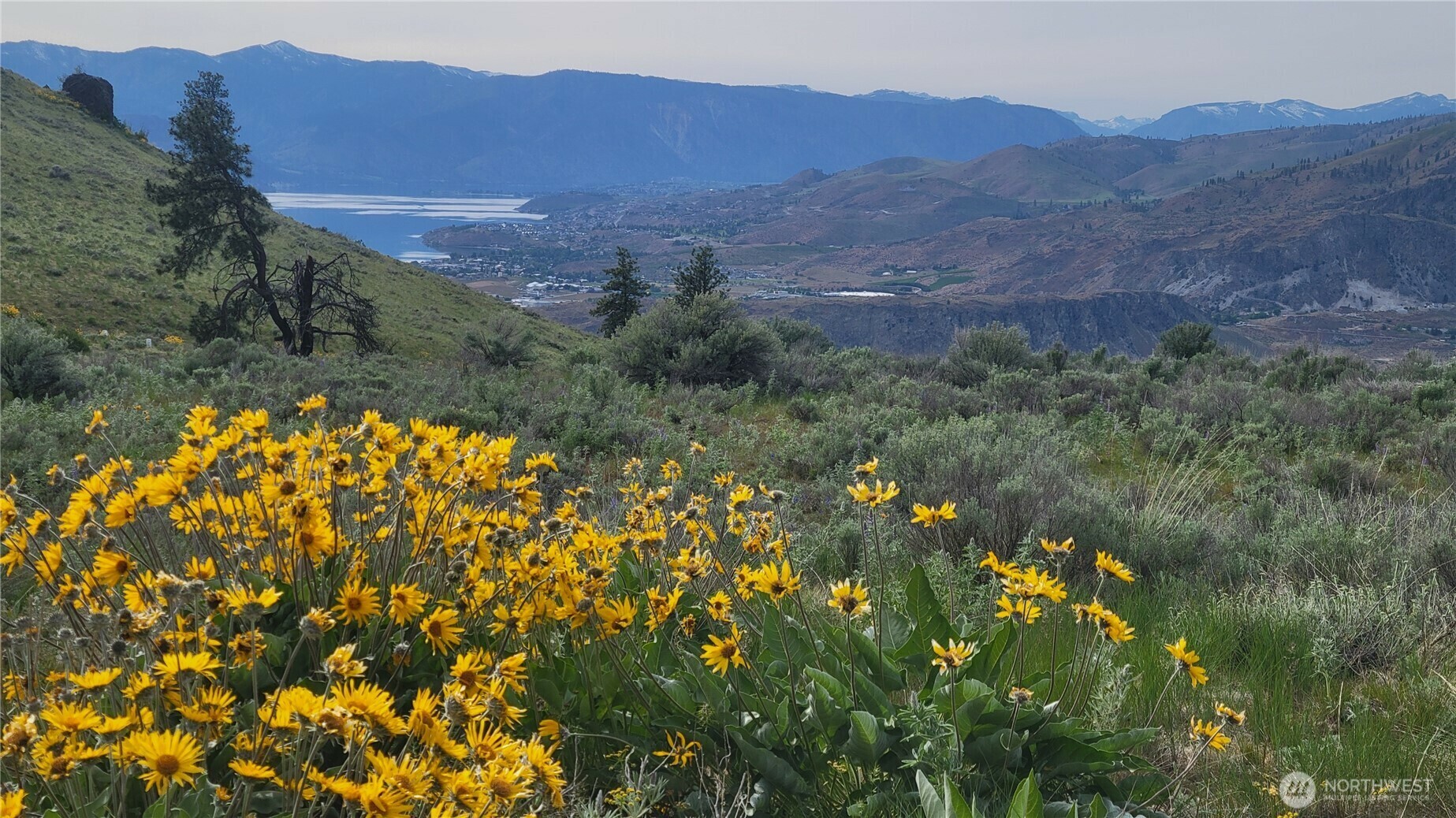 Property Photo: 0 Coyote'S Curve Road WA 98843