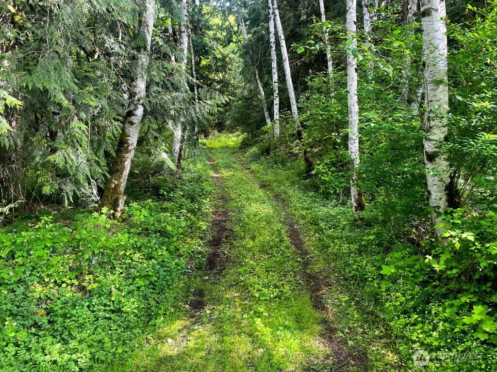 Property Photo: 293 Zion View Lane WA 98376