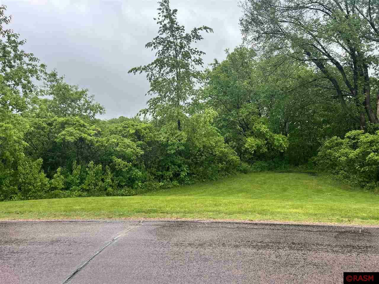 Property Photo: Tbd Birch Bluff Drive MN 56003