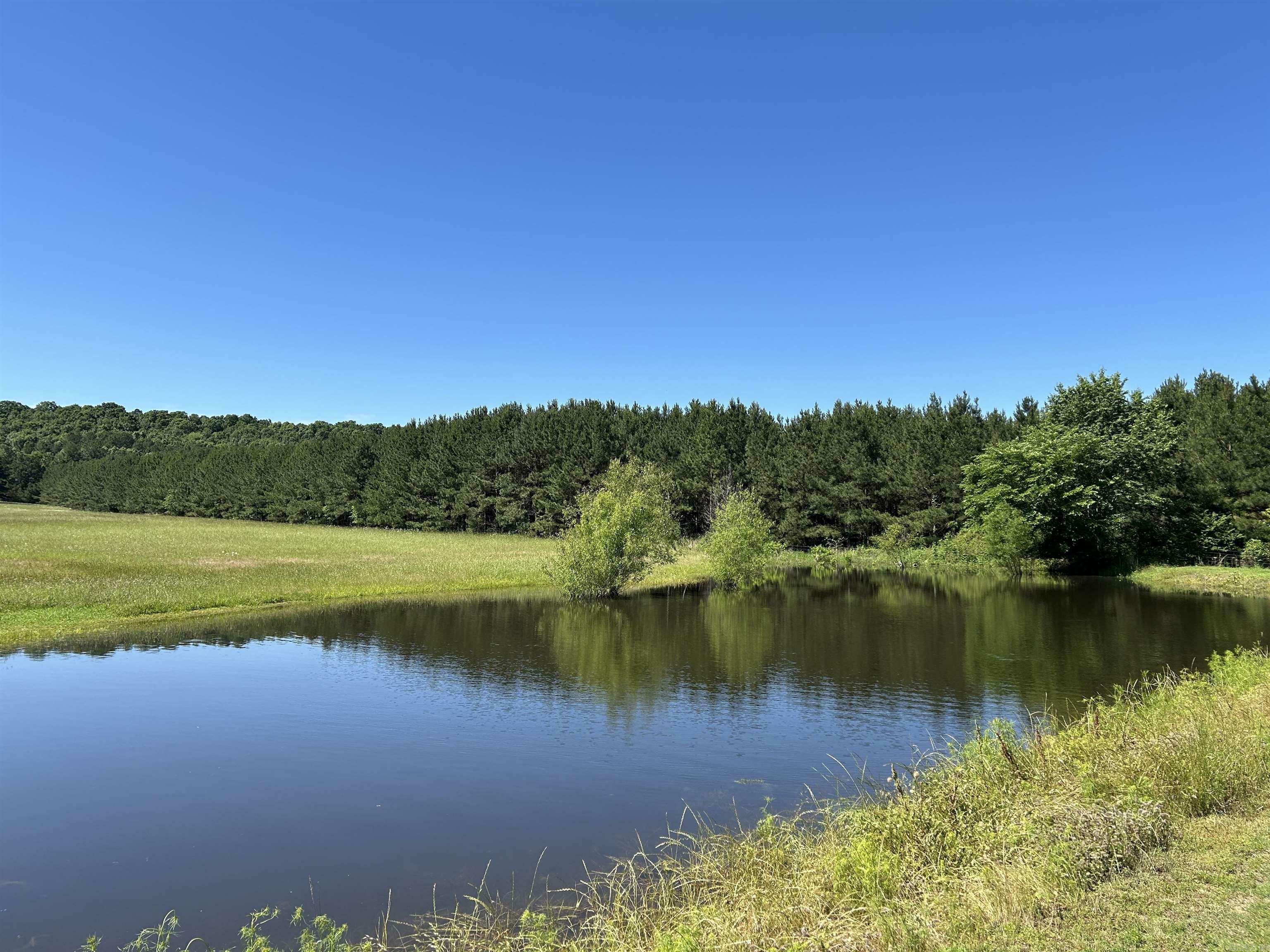 Property Photo: