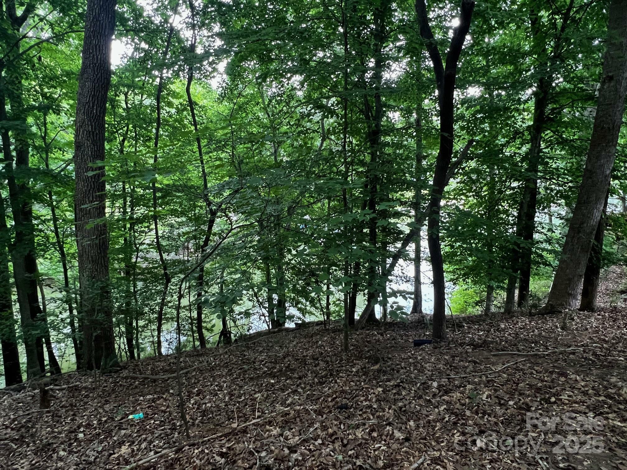 Property Photo: Lot 27 Laurel Cove Road 27 NC 28677