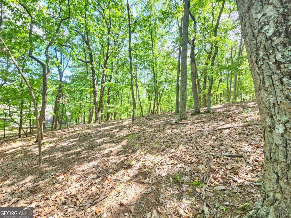 Property Photo: 0 Turnbury Lane GA 30143