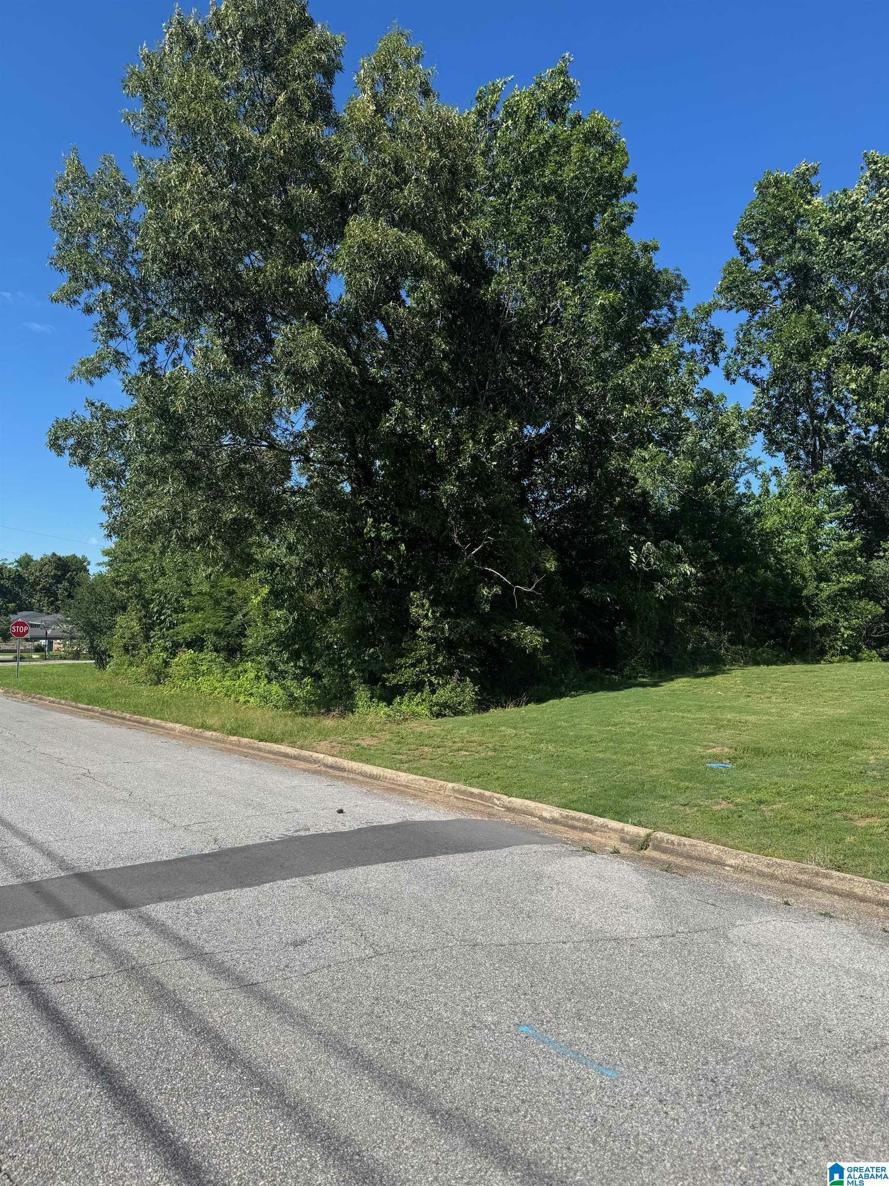 Property Photo: 0 2nd Avenue 39 AL 36265