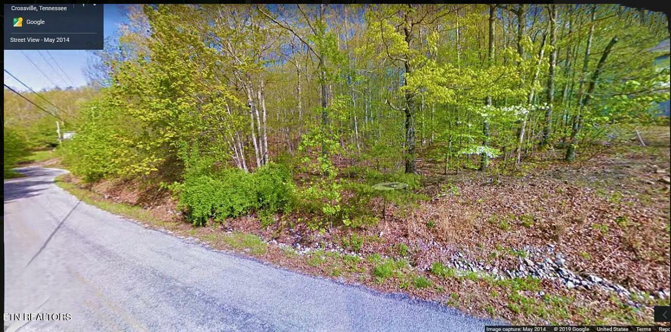 Property Photo: 112 Overlook Cove TN 38558