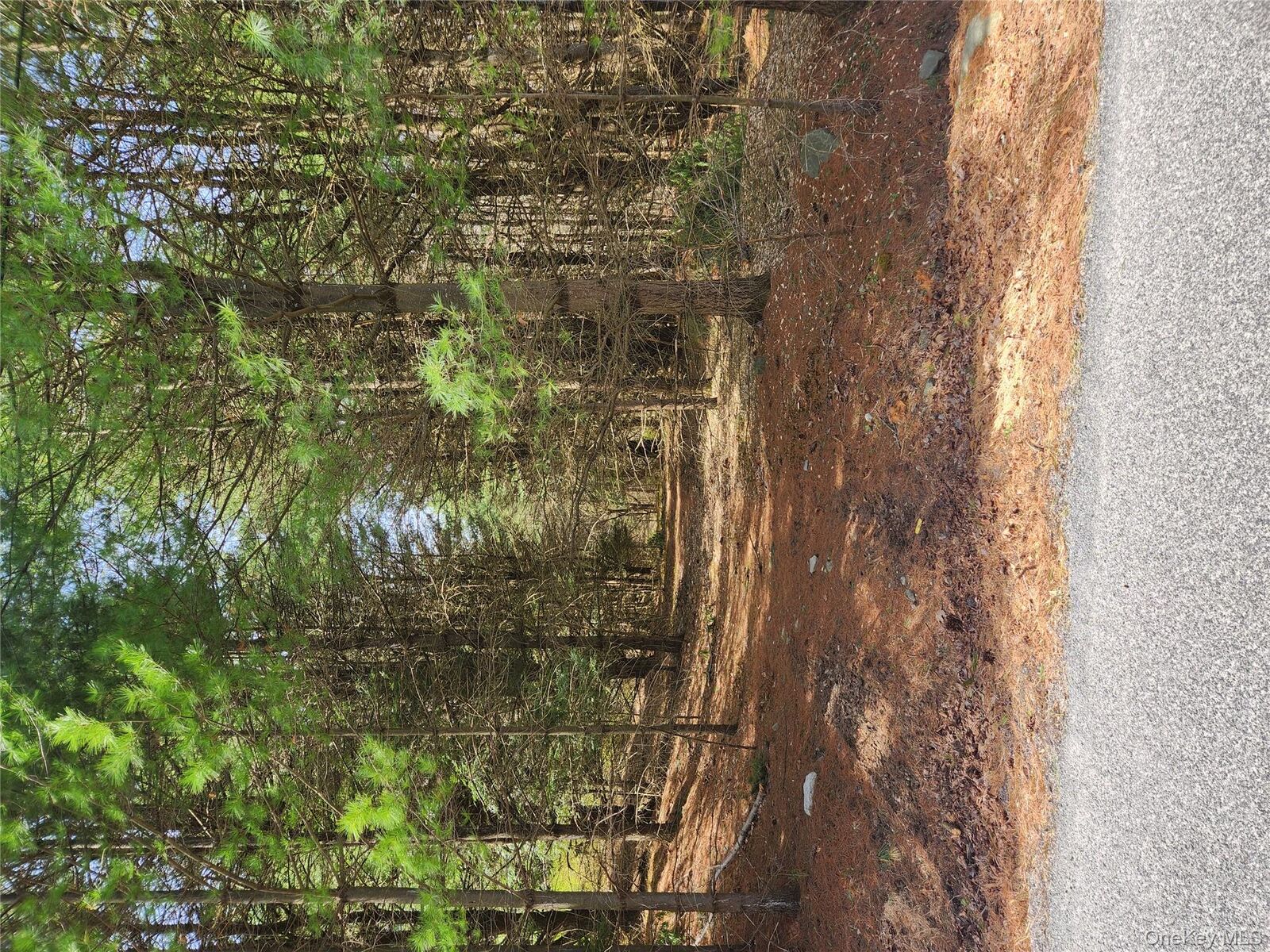Property Photo:  Lot 45 4th Circle  NY 12775 