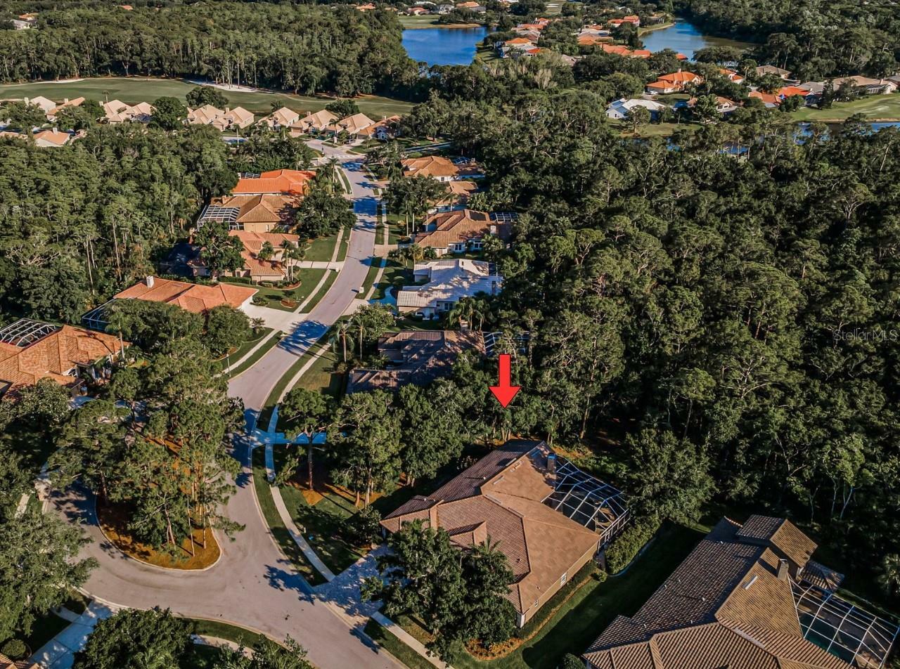 Property Photo: 4962 Turtle Creek Trail FL 34677