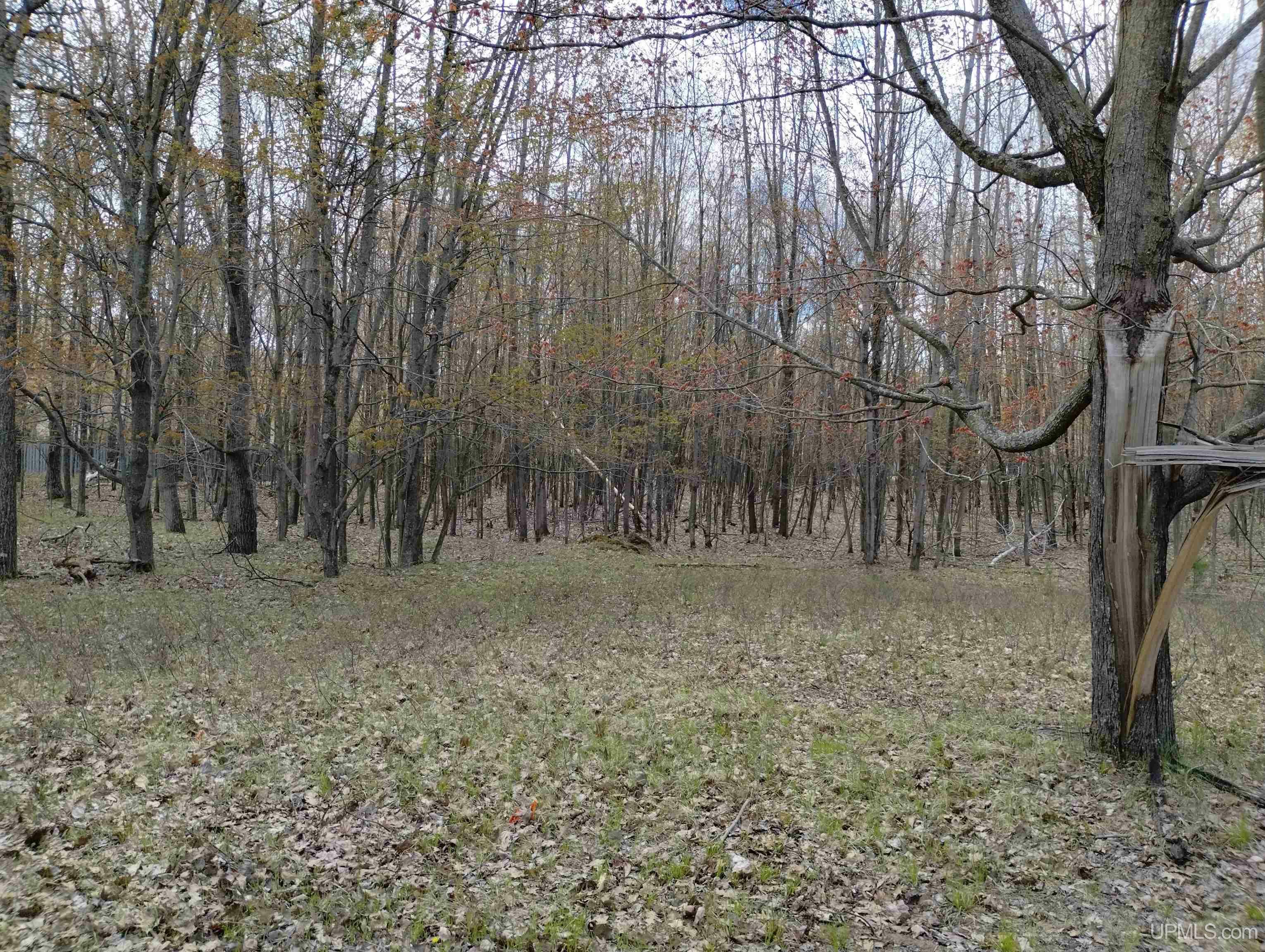Property Photo: 39 Royalton Drive MI 49837