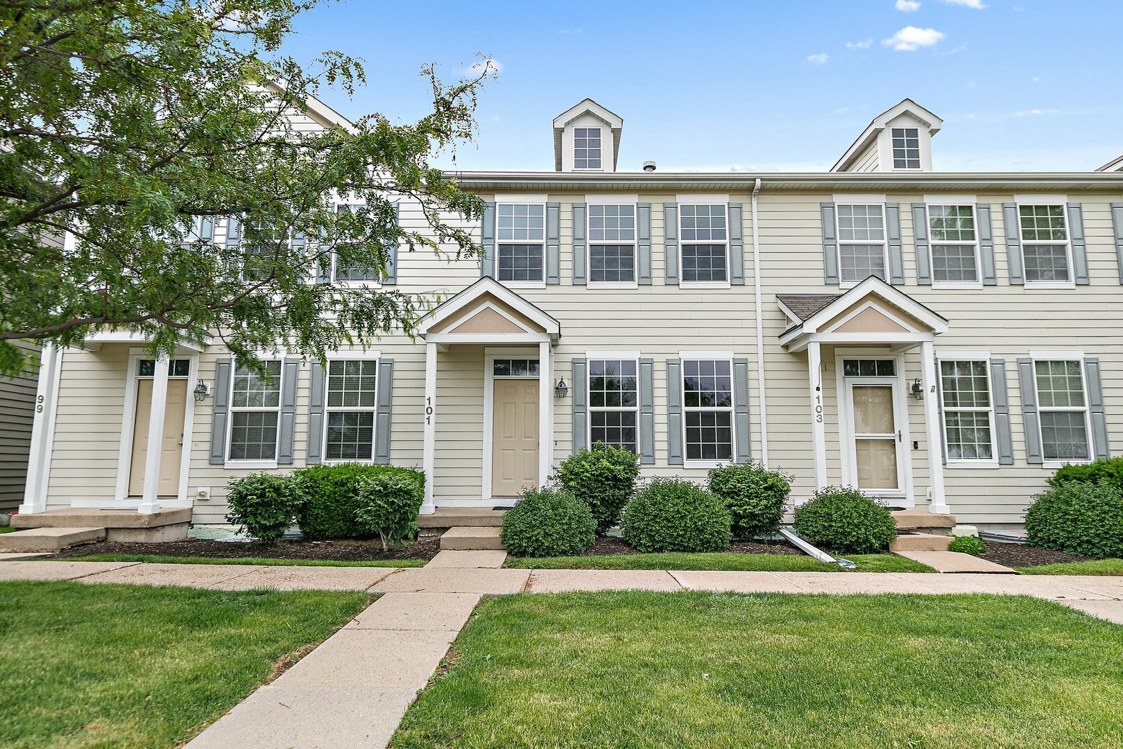 Property Photo: 101 E Robinson Avenue IL 60112