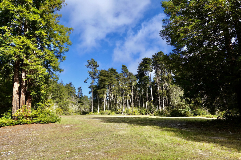 Property Photo: 43535 Comptche Ukiah Road CA 95460
