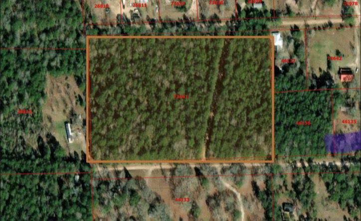 L73641 Blair Road  Corrigan TX 75939 photo