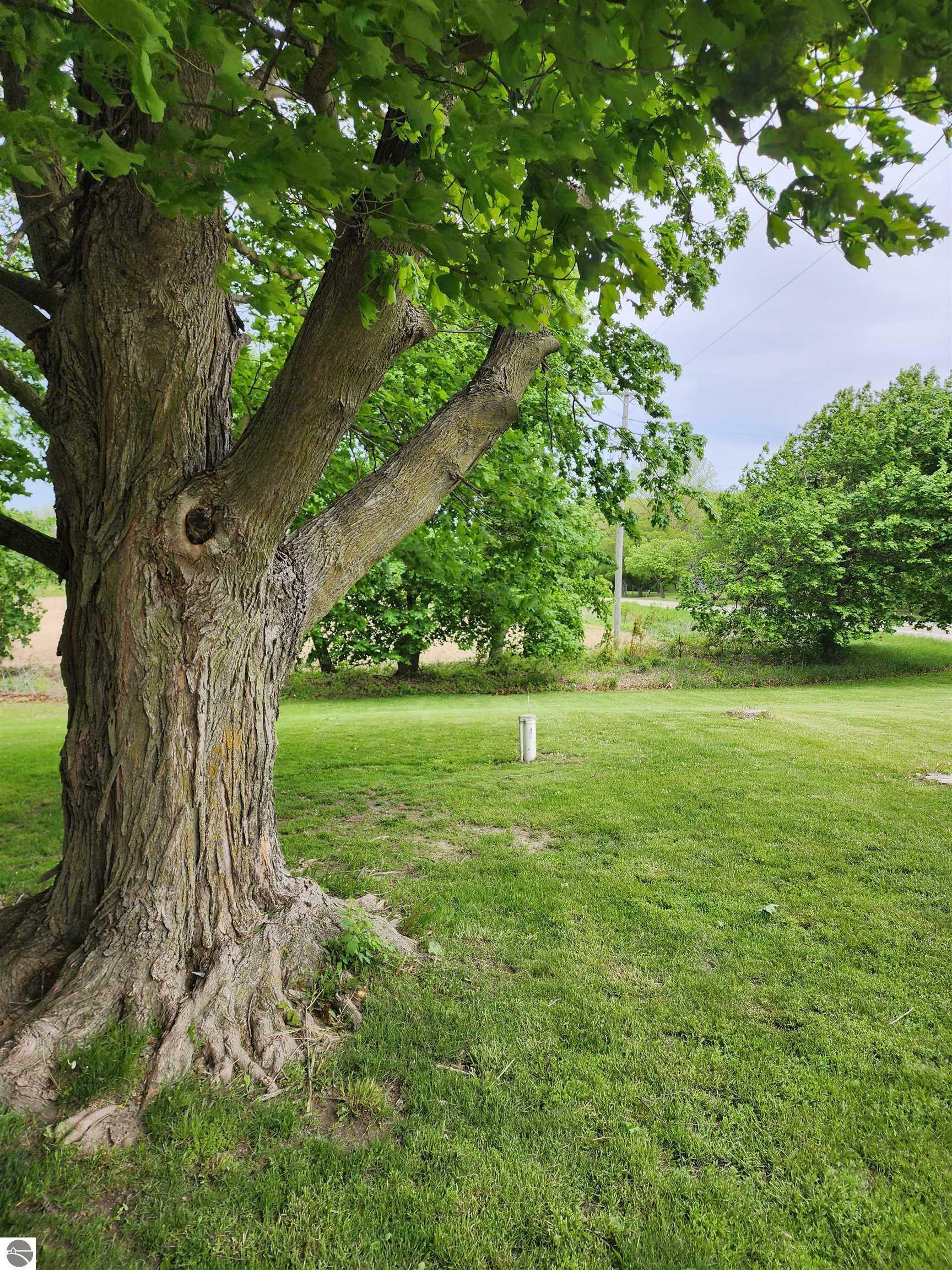 Property Photo: 8540 W Monroe MI 48801
