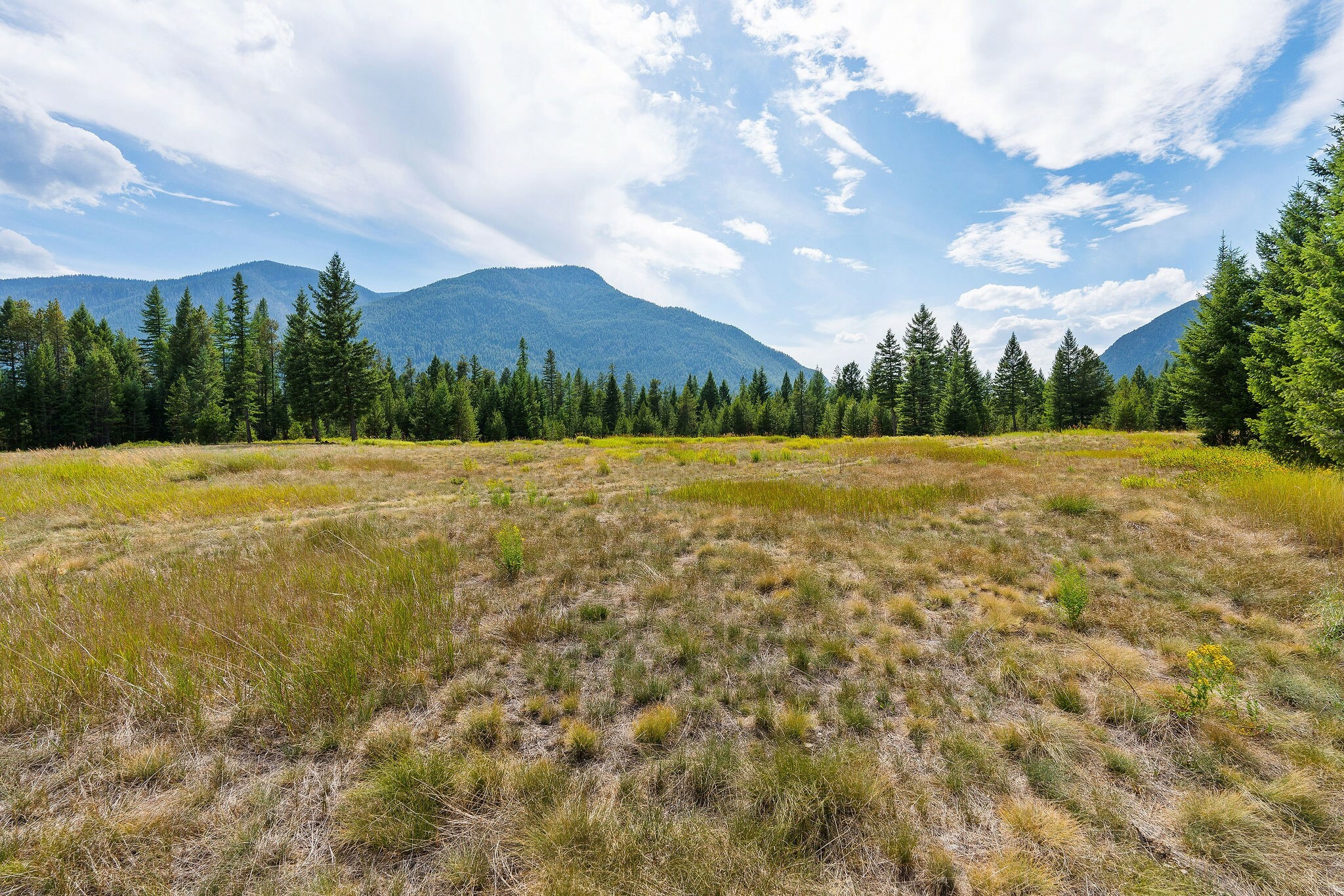 Property Photo: 1182 Lake Meadow Way MT 59912
