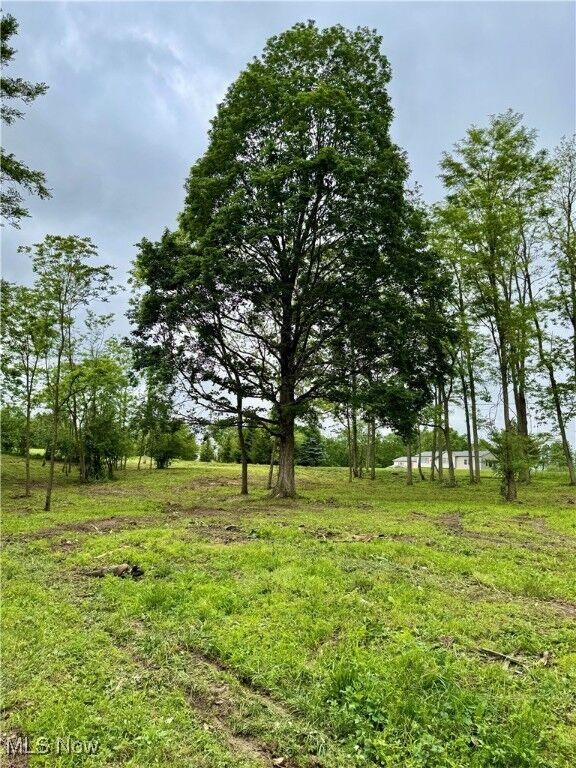 Property Photo: 10100 Honda Hills Road OH 43076