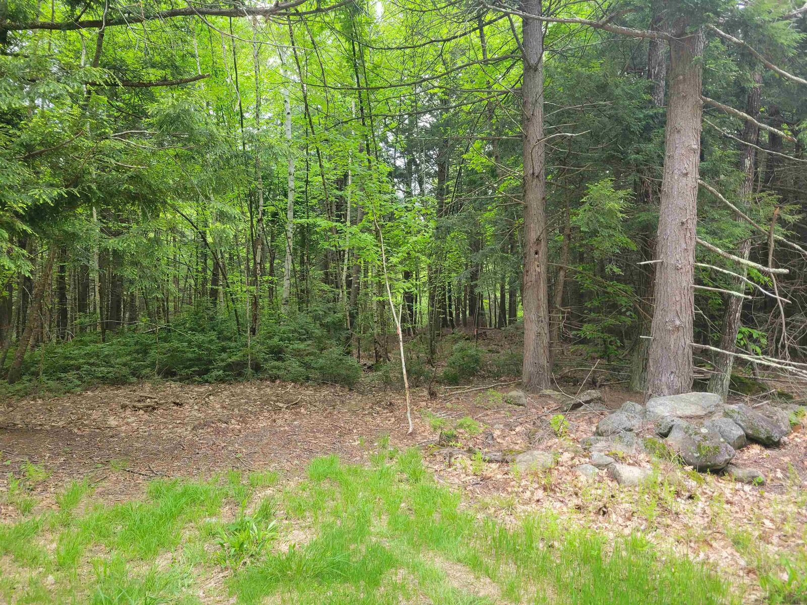 Property Photo:  L1-7 Old Turnpike Road  NH 03234 