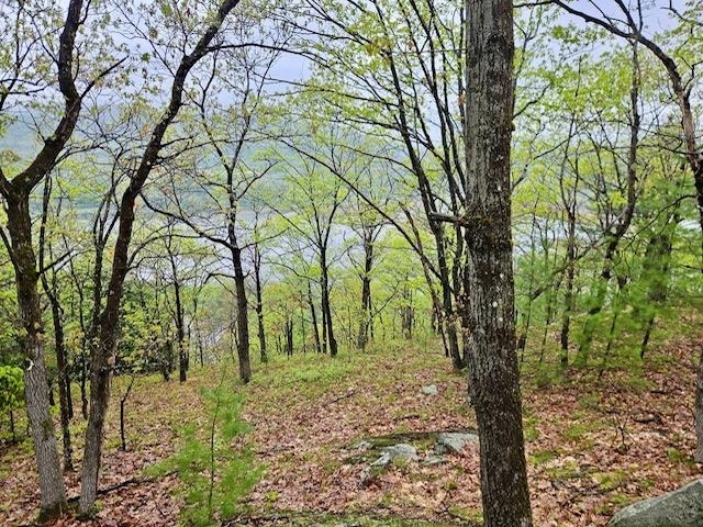 Property Photo:  0 Off Langdon Road  NH 03603 