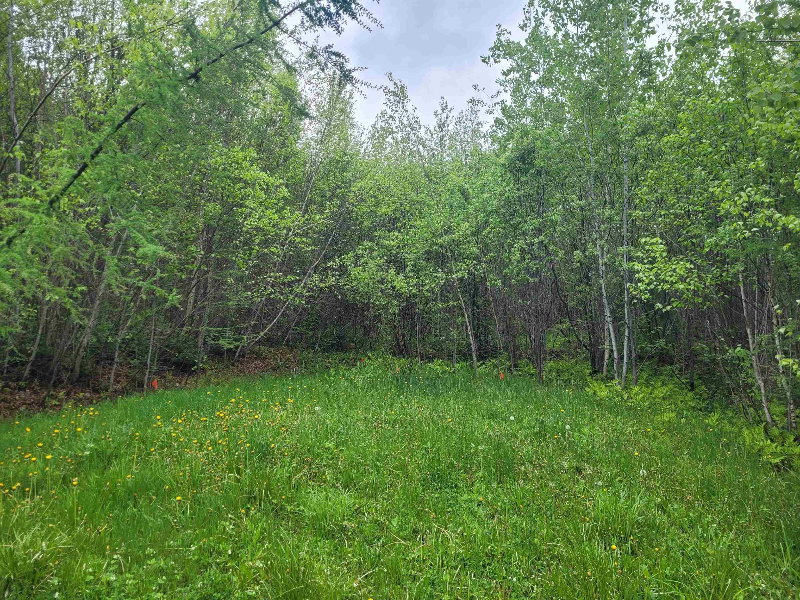 Property Photo: 170 South Whitefield Road NH 03598